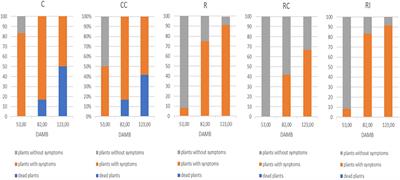 Possible Role of High Temperature and Soil Biological Fertility on Kiwifruit Early Decline Syndrome